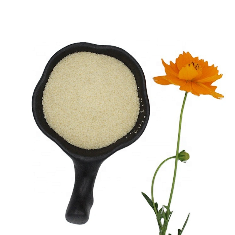 Natural halal gelatin powder Bovine food grade gelatin Low price